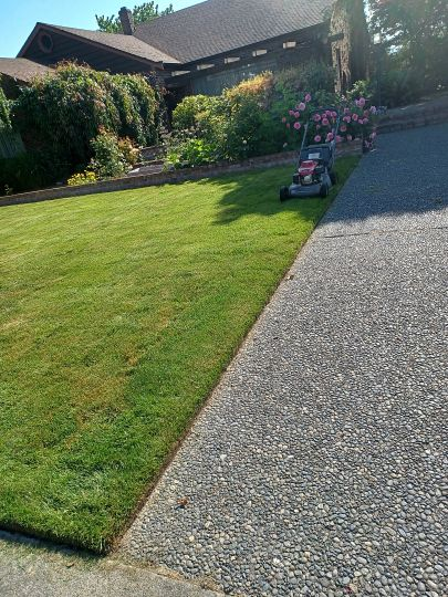 Front yard with lawn being professionally mowed, showing striping patterns, gravel driveway, and mature landscaping with flowering plants.